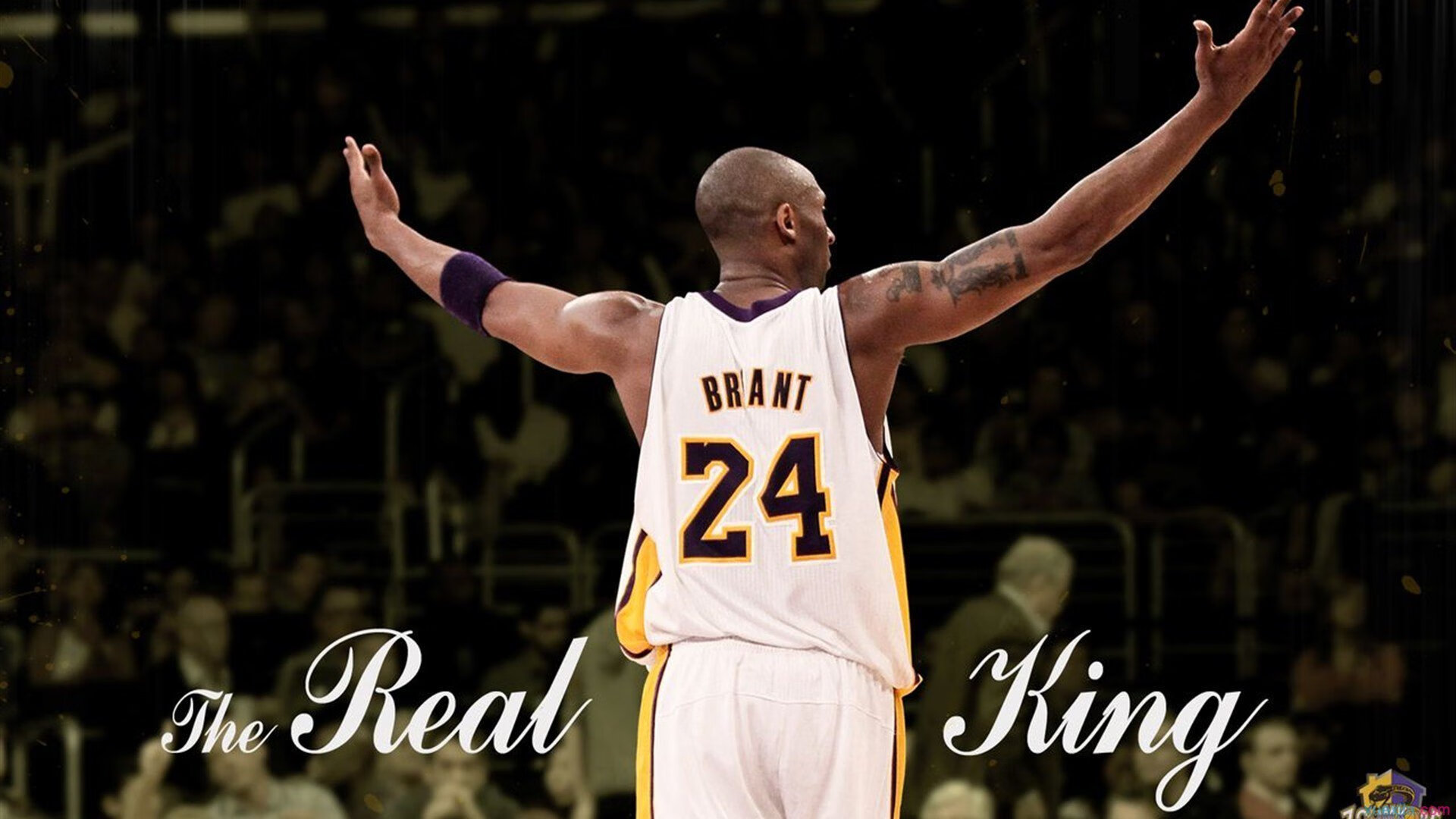 坚持不懈：车队在逆境中的协作精神，车队励志语